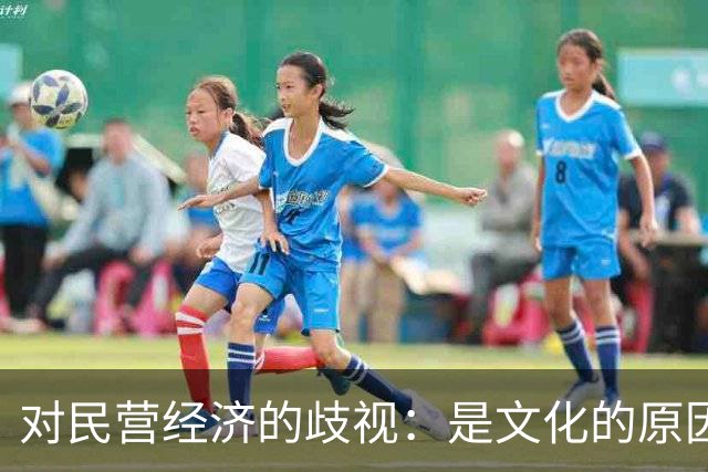 对民营经济的歧视：是文化的原因，还是意识形态的推动